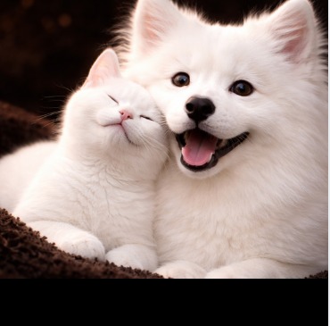 WhatsApp-Image-2026-04-01-at-1.53.50-AM